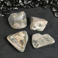 Tumbled Moody Green Jasper (5 Packs & Singles) (Various)