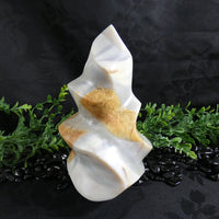 Flint Flame (Madagascar)