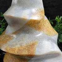 Flint Flame (Madagascar)