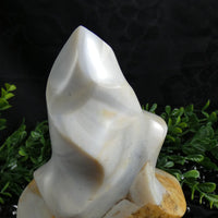 Flint Flame (Madagascar)