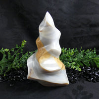 Flint Flame (Madagascar)