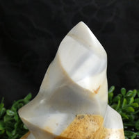 Flint Flame (Madagascar)