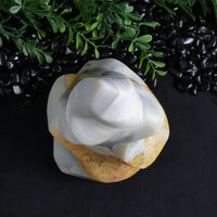 Flint Flame (Madagascar)