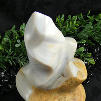 Flint Flame (Madagascar)
