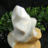 Flint Flame (Madagascar)