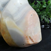 Flint Flame (Madagascar)