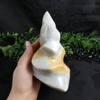 Flint Flame (Madagascar)