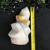 Flint Flame (Madagascar)