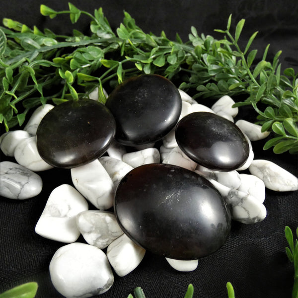 Amber Worry Stones