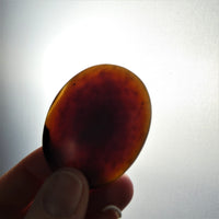 Amber Worry Stones