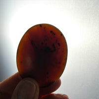 Amber Worry Stones