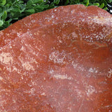 Red Jasper Replacing Petrified Wood Bowl