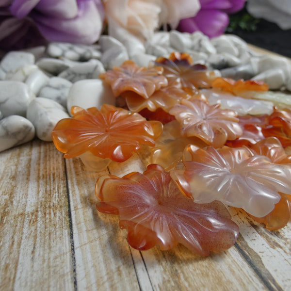 Hibiscus Flower Beads (Center Drilled)