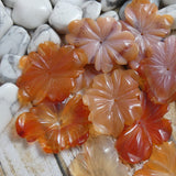 Hibiscus Flower Beads (Center Drilled)