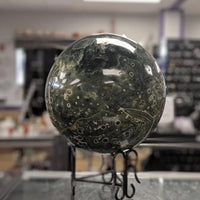 Showcase Ocean (Orbicular) Jasper Sphere